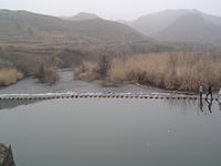 DSC01511