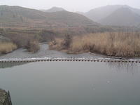 DSC01512