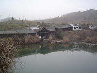 DSC01513