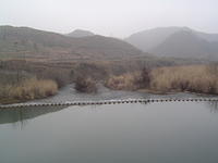 DSC01514