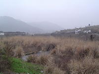 DSC01527