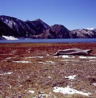 Big Dragon Lake & Small Dragon Lake 1 (10)