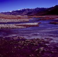 Big Dragon Lake & Small Dragon Lake 1 (16)