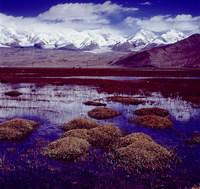 Big Dragon Lake & Small Dragon Lake 1 (23)
