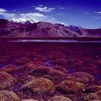 Big Dragon Lake & Small Dragon Lake 1 (24)