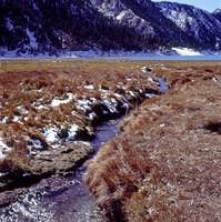 Big Dragon Lake & Small Dragon Lake 1 (6)