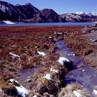 Big Dragon Lake & Small Dragon Lake 1 (7)