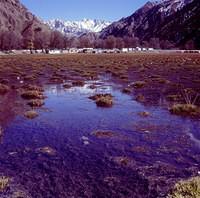 Big Dragon Lake & Small Dragon Lake 1 (8)