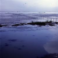 Boshiteng Lake (8)
