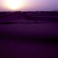 Desert Freeway (2)