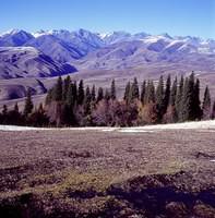 Nalati 1 (7)