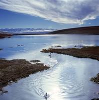 Swan Lake-Bayinbuluke (3)