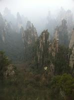 IMG 4339