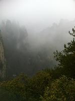IMG 4352