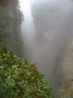 IMG 4357