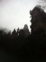 IMG 4407