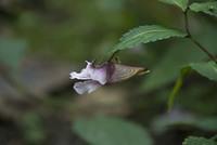  DSC0908
