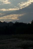  DSC0980
