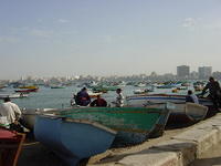 DSC03246
