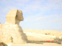 DSC03221