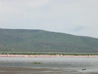 DSC03306