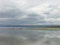 DSC03312