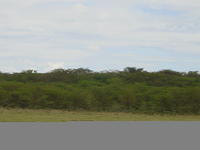 DSC03318