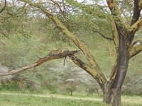 DSC03329