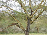 DSC03330