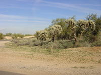 November 14,2004 (2)