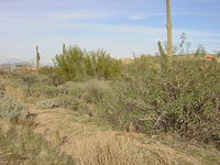 November 14,2004 (3)