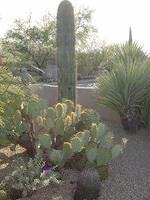 November 14,2004 (8)