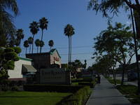 DSC06810