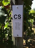 Cabernet Sauvignon by Napa Valley-August 10,2013