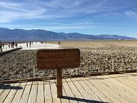 IMG 0902