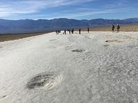 IMG 0908