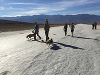 IMG 0909