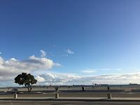 IMG 1375