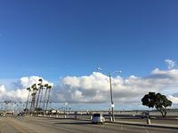 IMG 1376