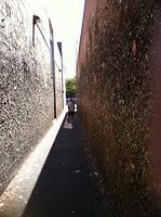 Chewing Gum Wall-August 12,2013