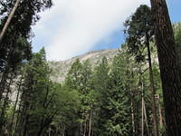 Yosemite