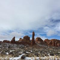 IMG 0239