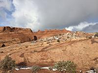 IMG 0262