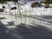 IMG 0590