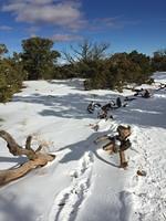 IMG 0530