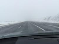IMG 0214