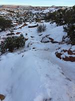 IMG 0635