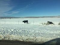 IMG 0642